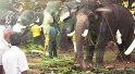 thrissur-pooram-2010 (12)